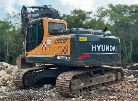 EXCAVADORA HYUNDAI R 220 HX 3.webp